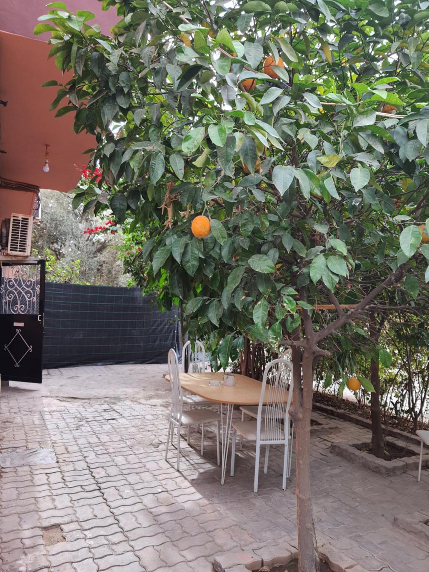 Ferienwohnung Marrakech Marrakesch Exterior foto